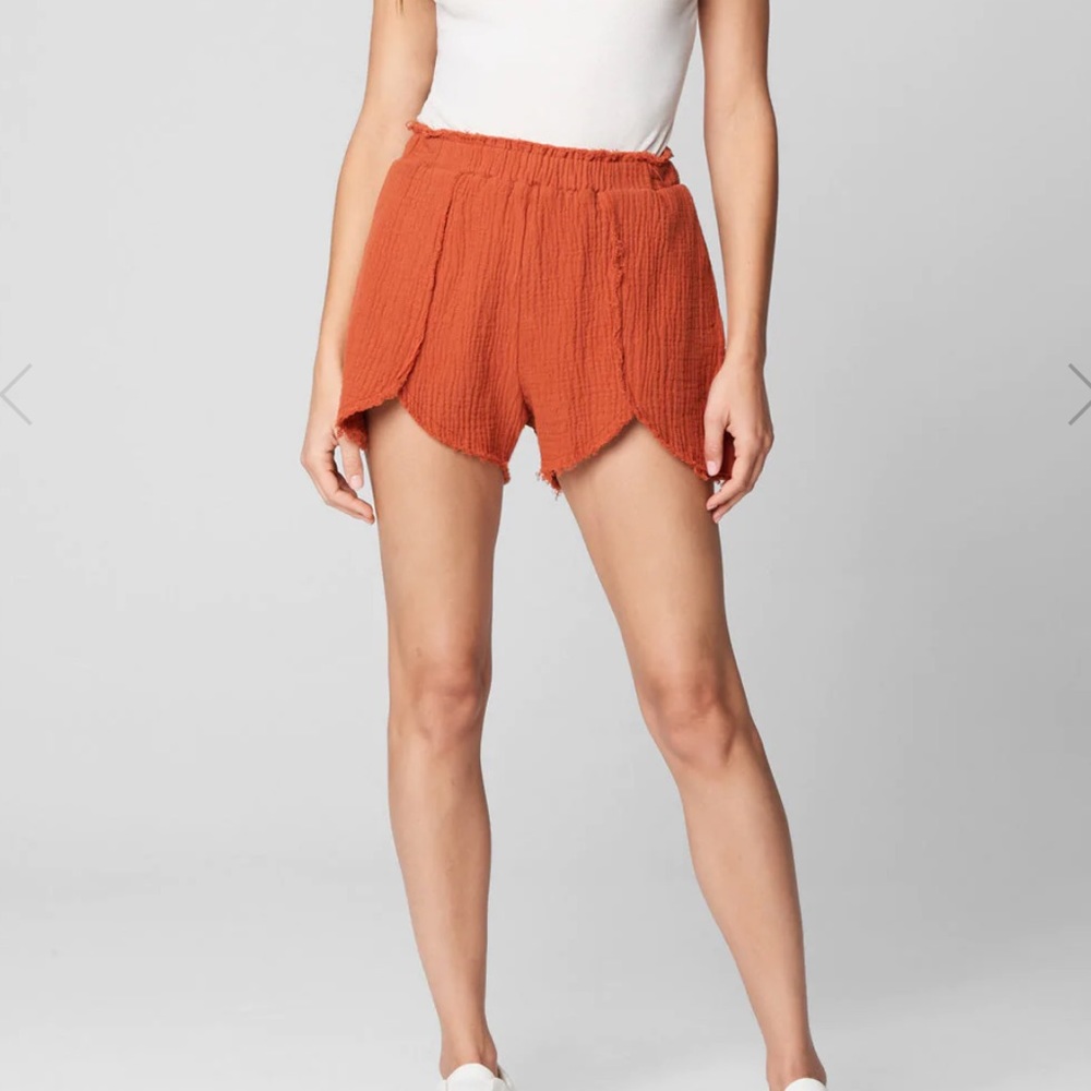 Blank NYC Sunset Escape shorts